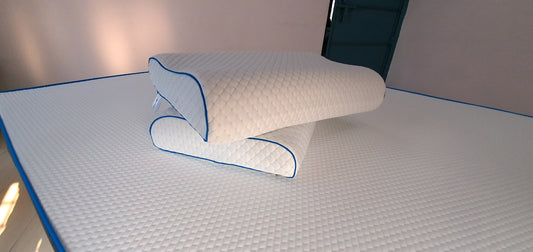 Contour Memory Foam Pillow